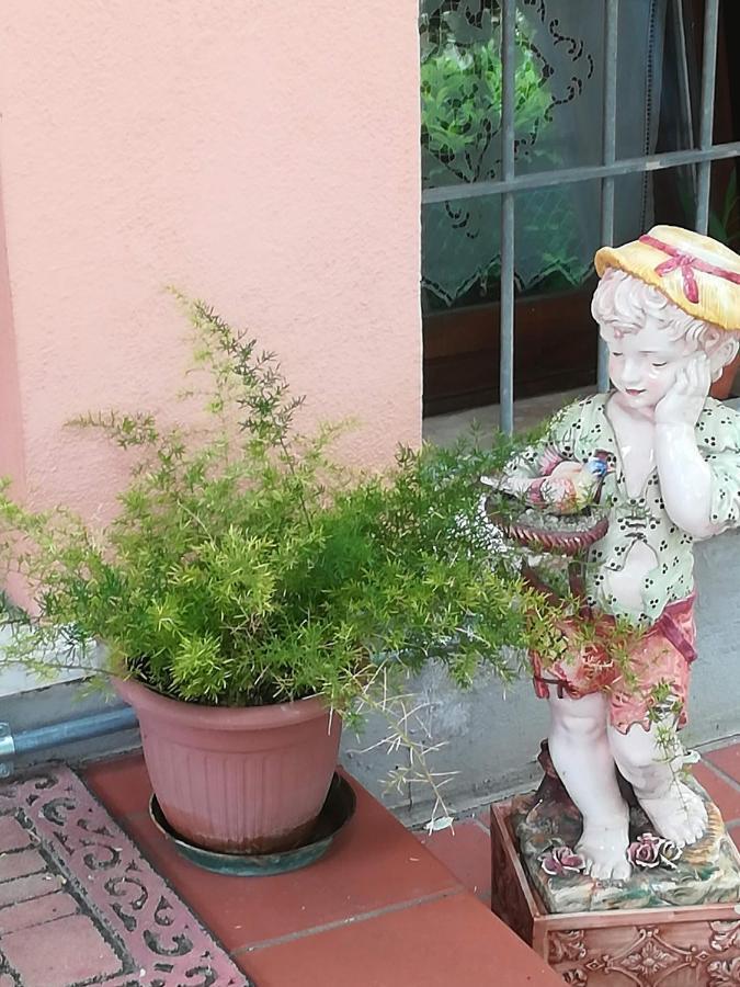 Villa Giuliana ヴィゴンツァ エクステリア 写真