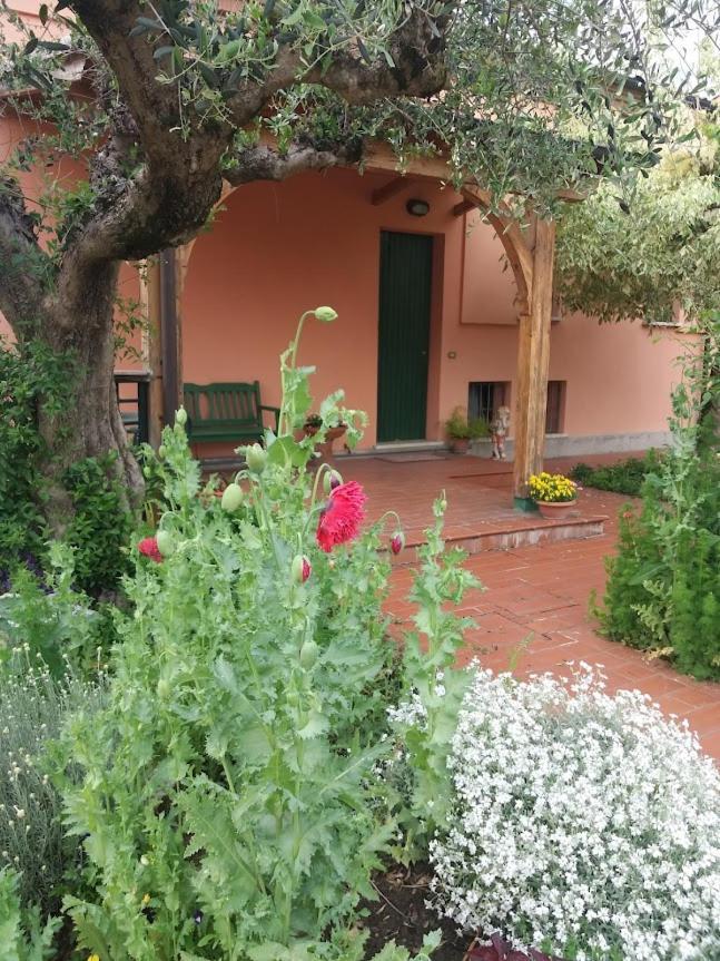 Villa Giuliana ヴィゴンツァ エクステリア 写真